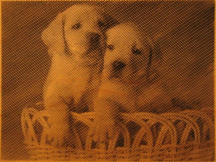 Puppies als Fotogravur auf einer Holzplatte