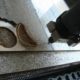 Auto Tuning Interior Design